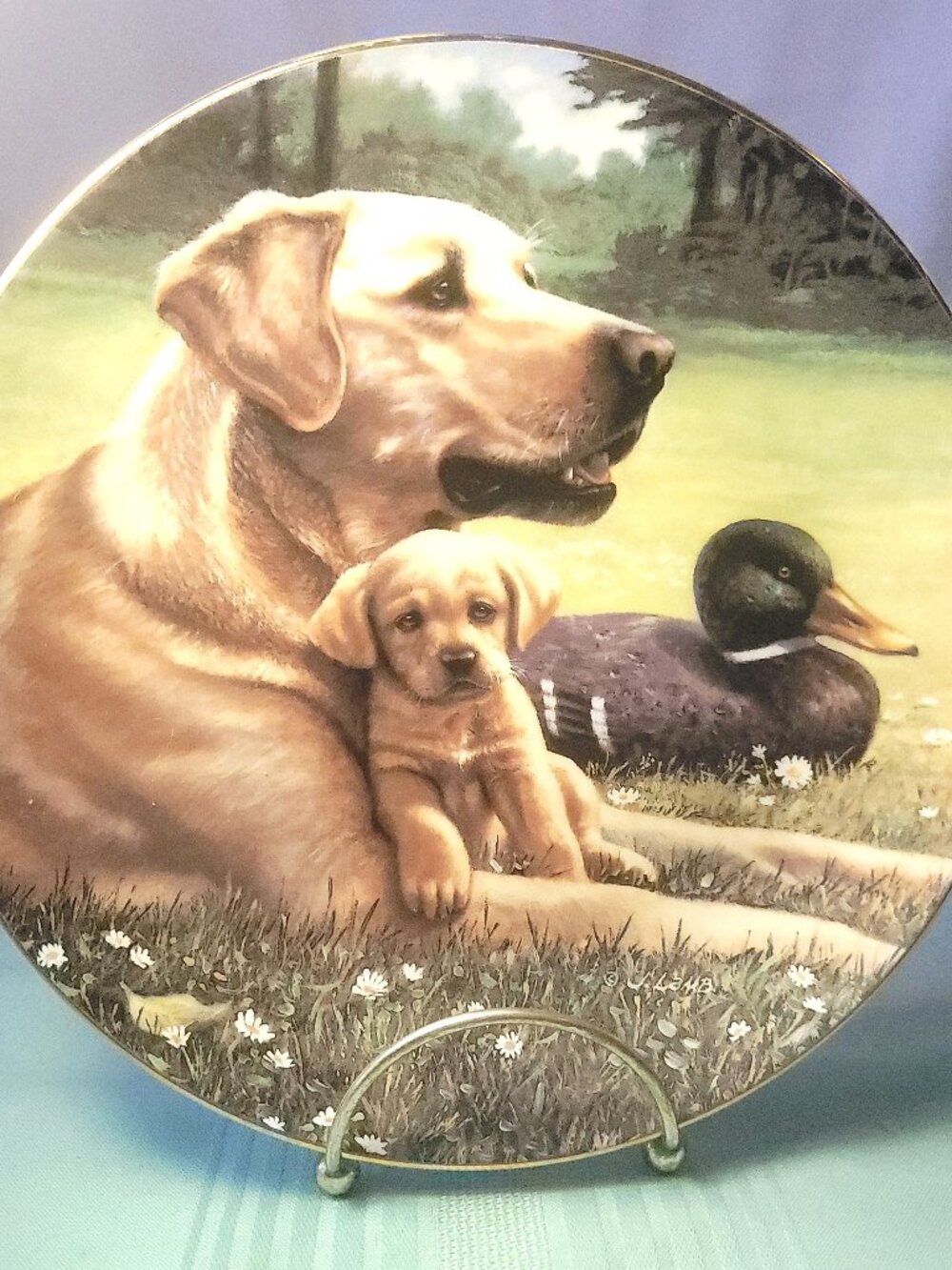 1991 Hamilton Collection Plate Like Father Like Son Jim Lamb Labrador Puppies